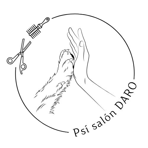 Psísalón-Daro